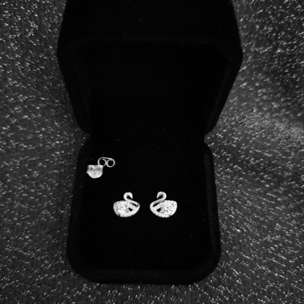 Aretes de cisnes