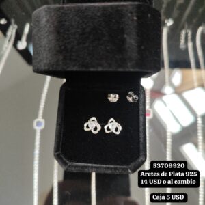 040 Aretes de Plata 925