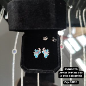 039 Aretes de Plata 925