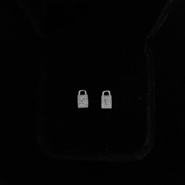 052 Aretes. Plata 925