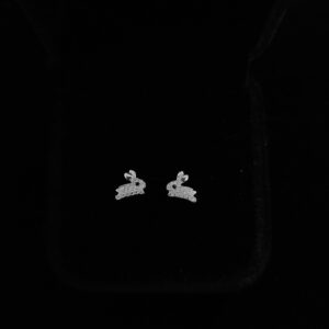 054 Aretes. Plata 925