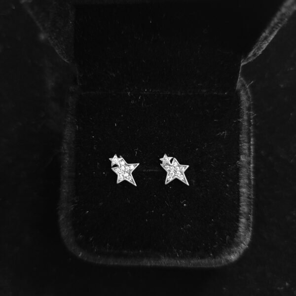 061 Aretes. Plata 925.