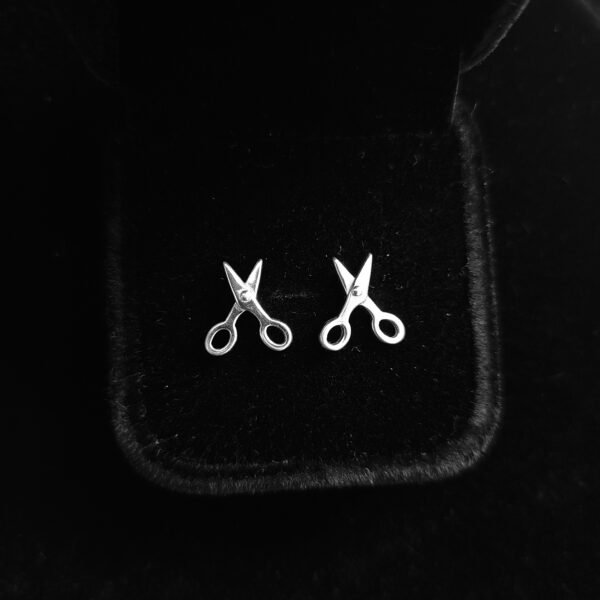 065 Aretes. Plata 925.