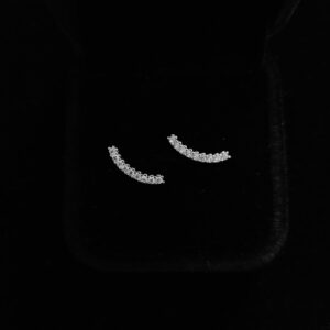 067 Aretes. Plata 925.