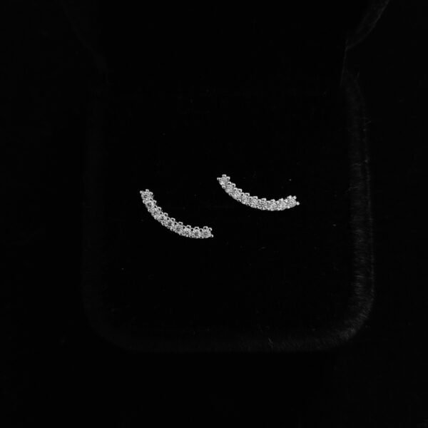 067 Aretes. Plata 925.