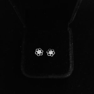 069 Aretes. Plata 925.