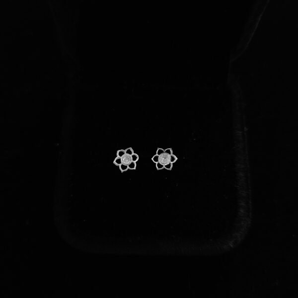 070 Aretes. Plata 925.