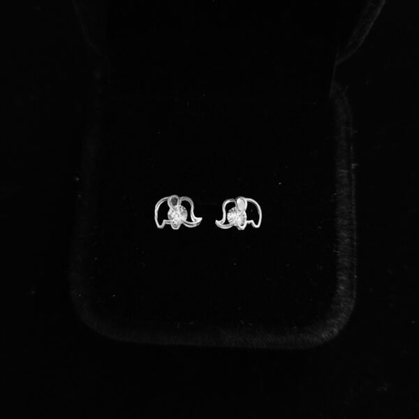 072 Aretes. Plata 925.