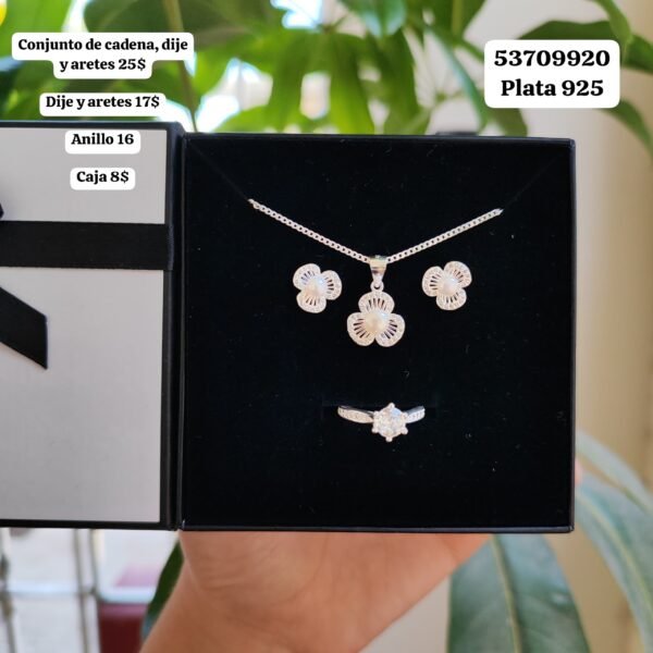 047 Conjunto. Los valores salen en la foto por separado. En USD o al cambio. Plata 925