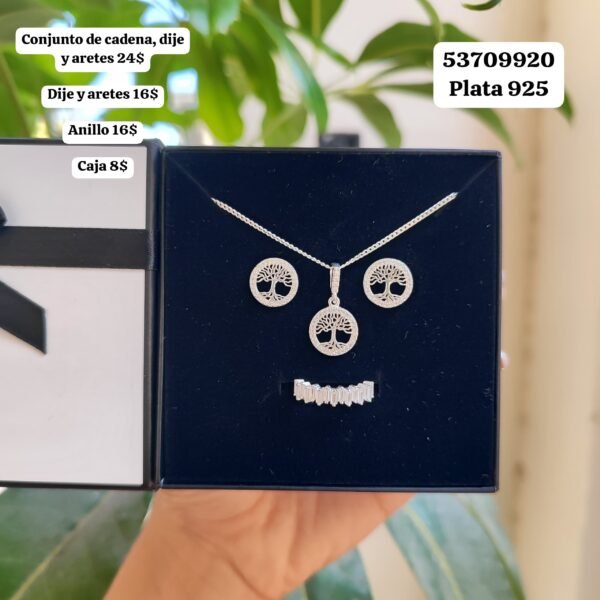 046 Conjunto. Los valores salen en la foto por separado. En USD o al cambio. Plata 925