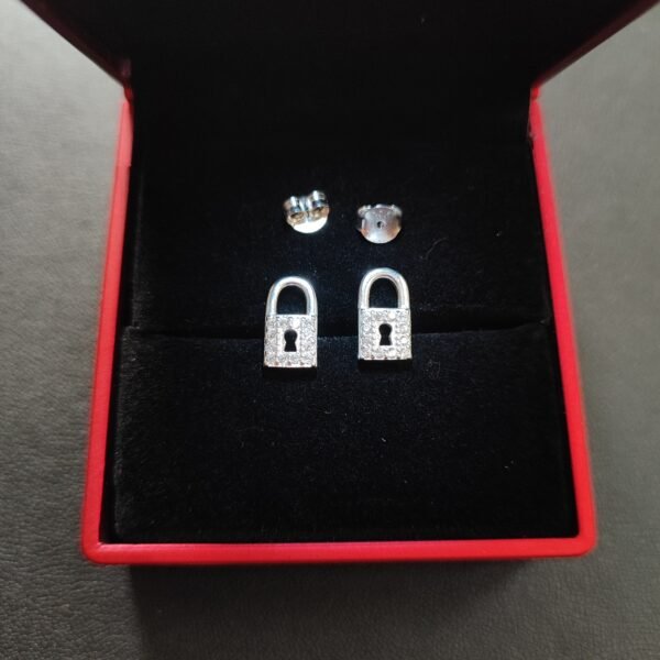 020 Aretes de Plata 925