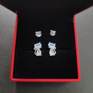 042 Aretes de Plata 925