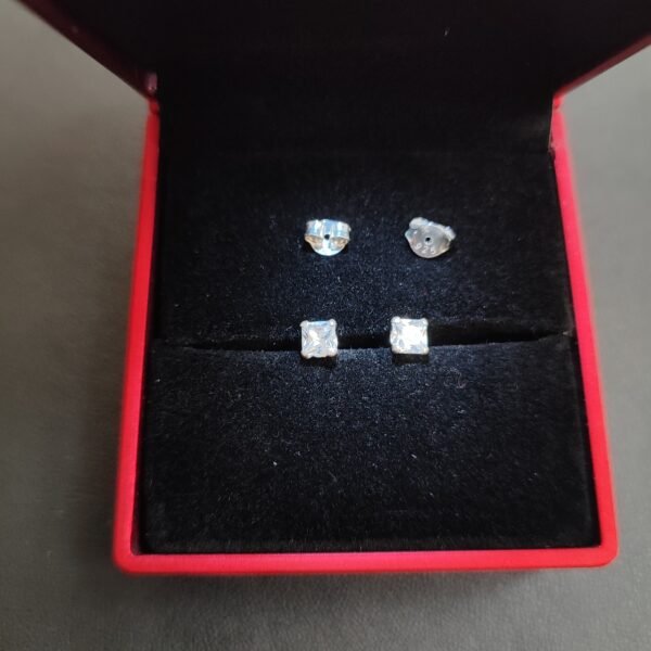 025 Aretes de Plata 925