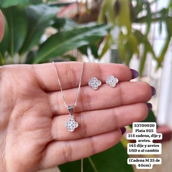 029 Conjunto. Plata 925 (Ampliar la imagen para ver los valores por separado.) - Imagen 2