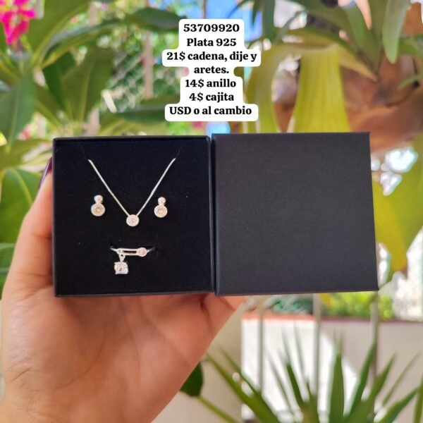 030 Conjunto. Plata 925 (Ampliar la imagen para ver los valores por separado.)