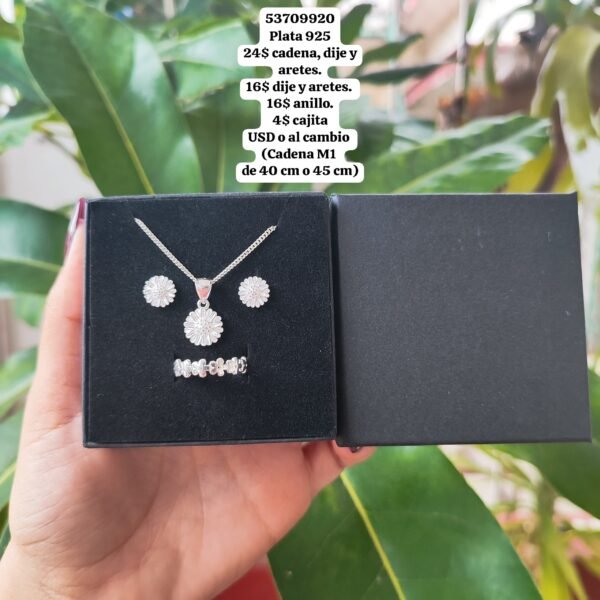 026 Conjunto. Plata 925 (Ampliar la imagen para ver los valores por separado.)