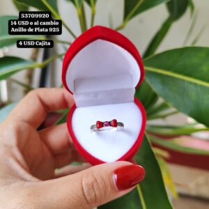 030 Anillo de Plata 925 Tallas 5 y 6