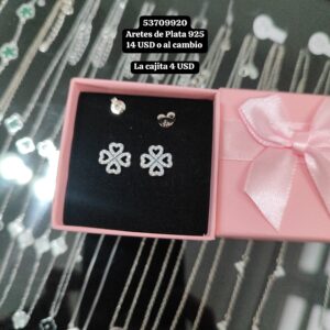 005 Aretes de Plata 925 (Pandora)