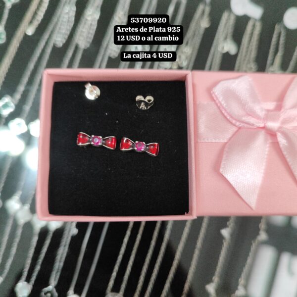 026 Aretes de Plata 925 (Pandora)