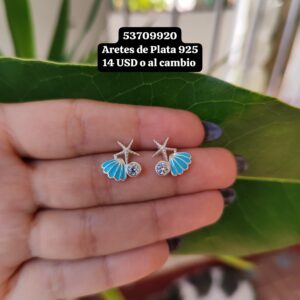 031 Aretes de Plata 925