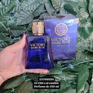 015 Perfume para hombre de 100 ML