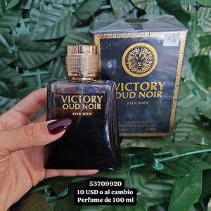 013 Perfume para hombre de 100 ML