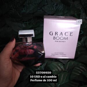 006 Perfume para mujer de 100 ML