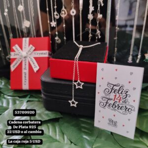 024 Cadena estilo corbatera. Plata 925