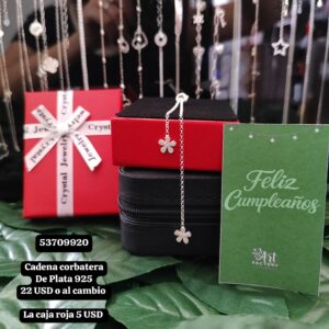 026 Cadena estilo corbatera. Plata 925