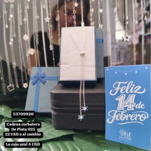 021 Cadena estilo corbatera. Plata 925