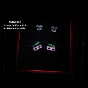 004 Aretes de Plata 925