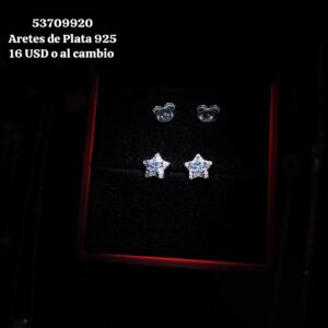034 Aretes de Plata 925