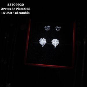033 Aretes de Plata 925