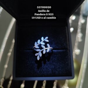 055 Anillo de Plata 925